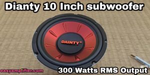 Read more about the article dainty subwoofer 10 inch price And technical specifications best subwoofer after JBL, sony and pioneer